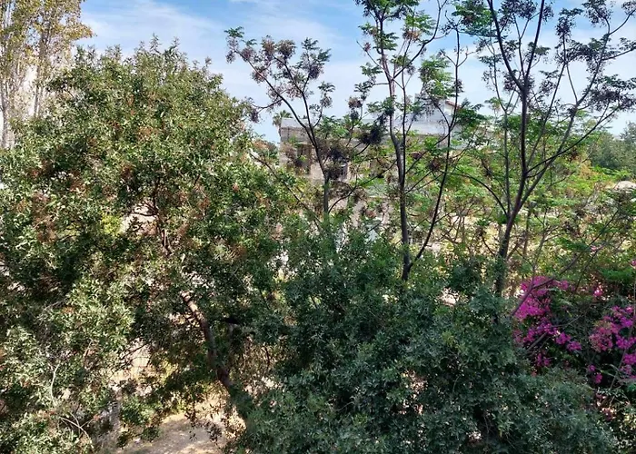 Center First Floor Apartamento *